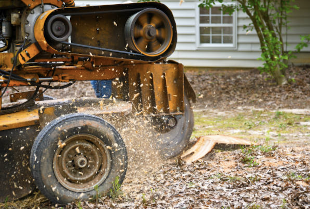 stump grinding denton tx